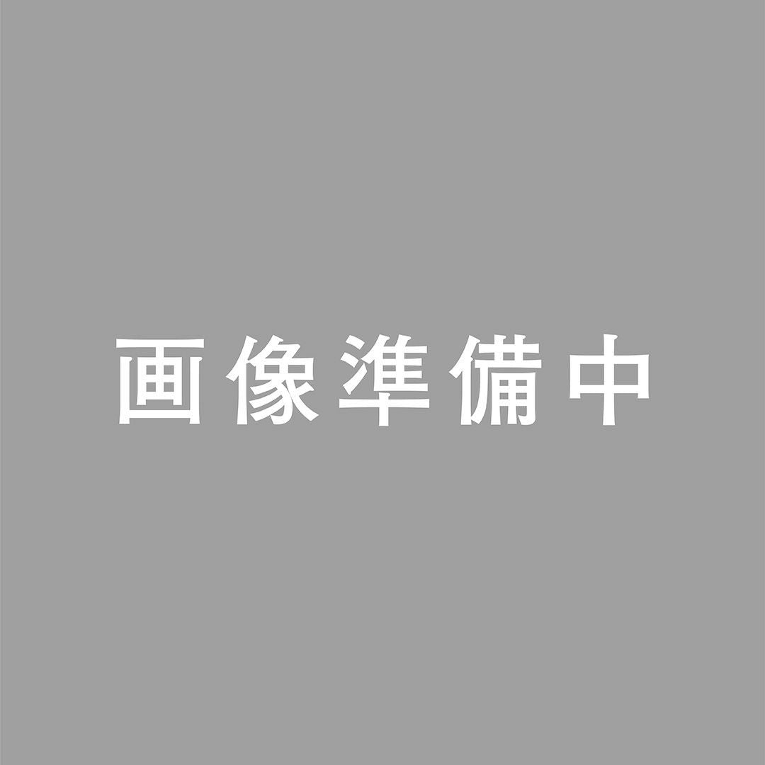 練習紙(4枚)