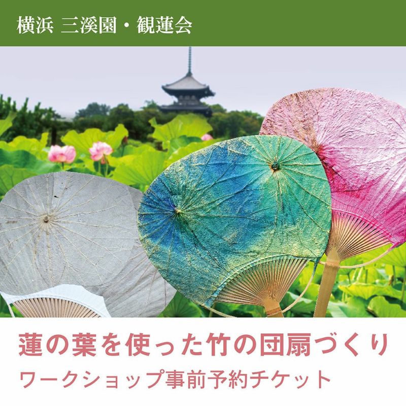 橫濱三溪園賞荷會【用荷葉製作竹扇】