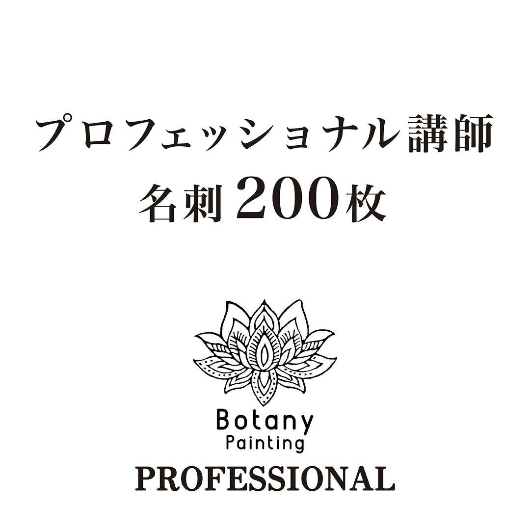 プロフェッショナル講師名刺200枚