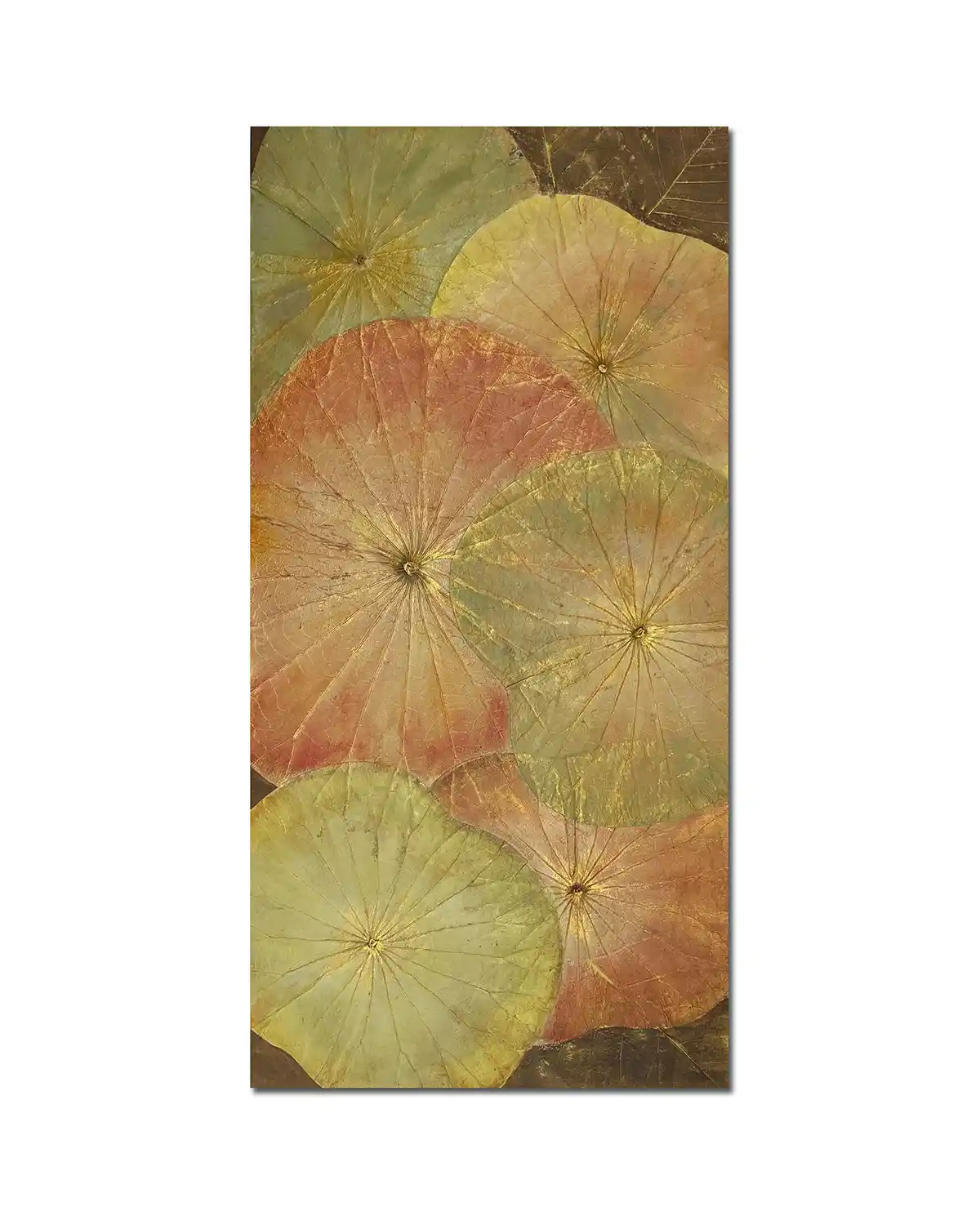作品画像
