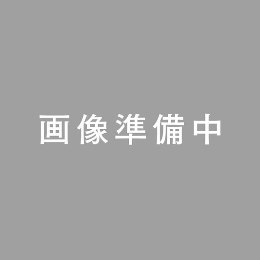 インド菩提樹(16枚)