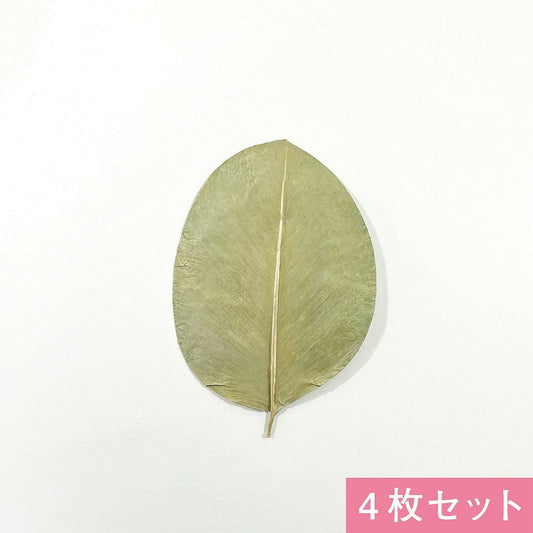 フェザーリーフ(4枚)