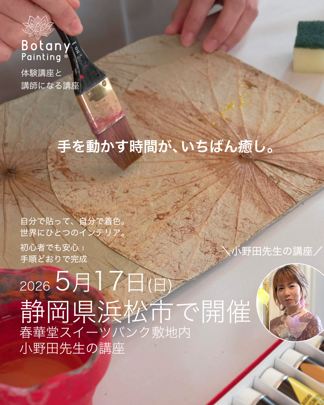 靜岡縣 植物繪畫工作坊 蓮葉藝術 也可考取證照 成人藝術課程 2026年5月17日（日）