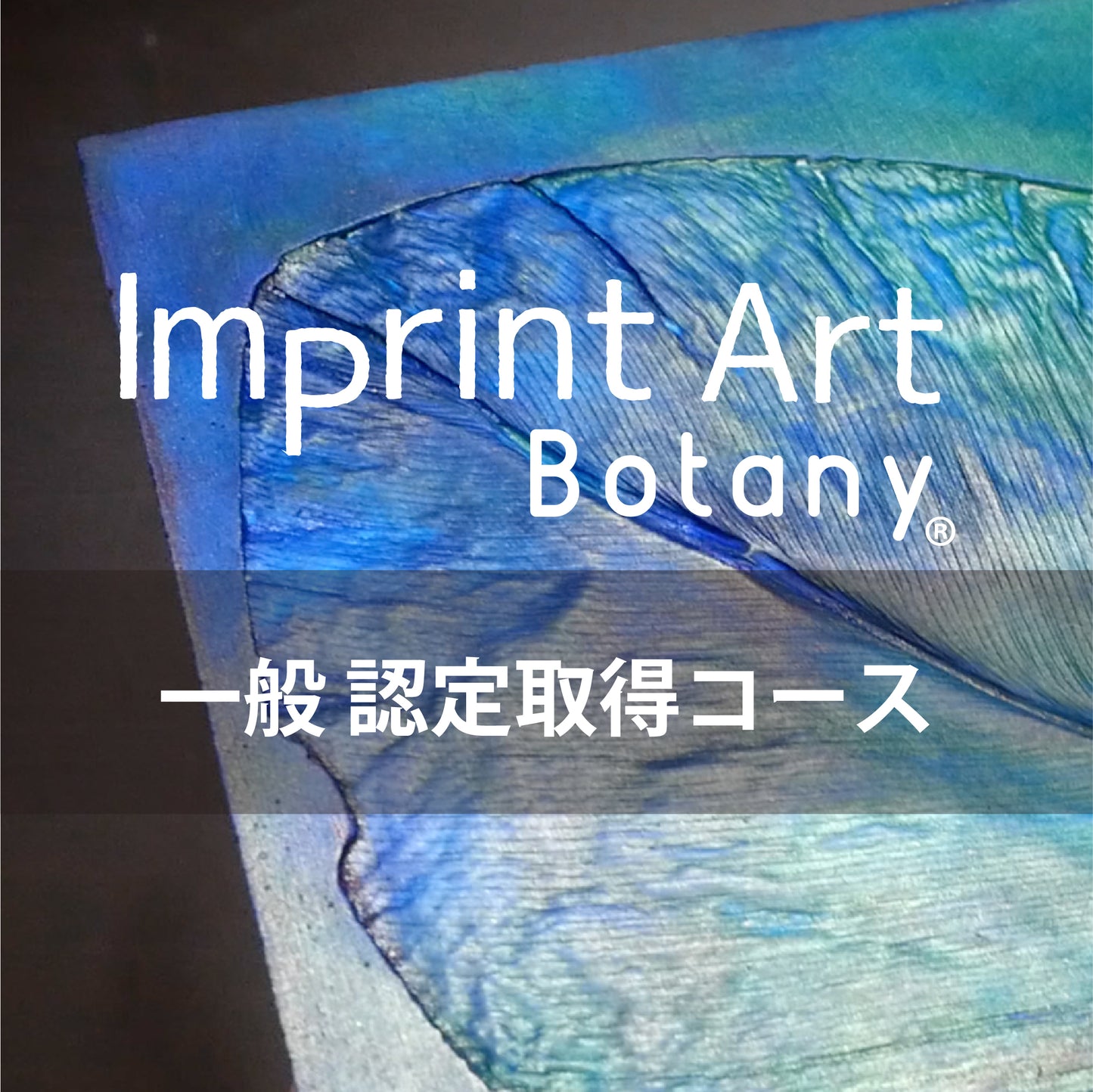 Imprint Art General Public (Certification)