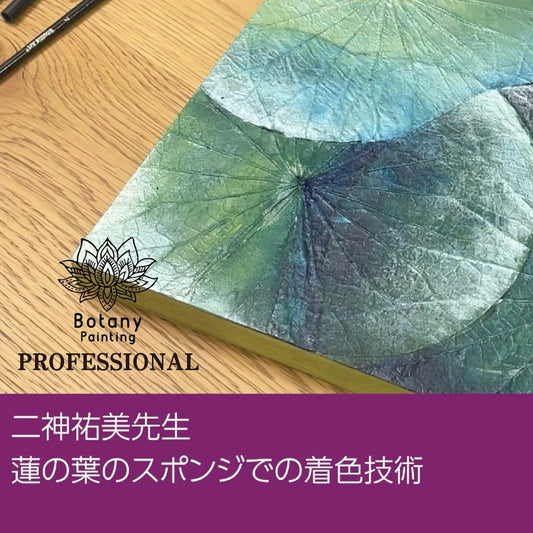 二神祐美先生　蓮の葉のスポンジでの着色技術(約15分)※こちらは講師の模写方法を見て頂く動画になります。