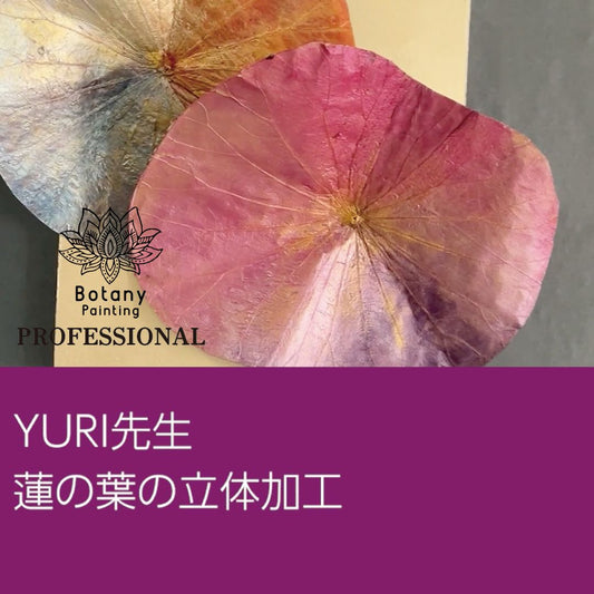 YURI先生　蓮の葉の立体加工(約6分)