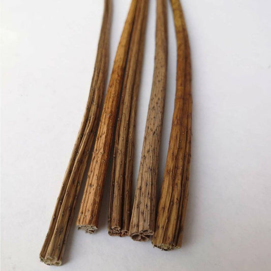 LOTUSSTEM