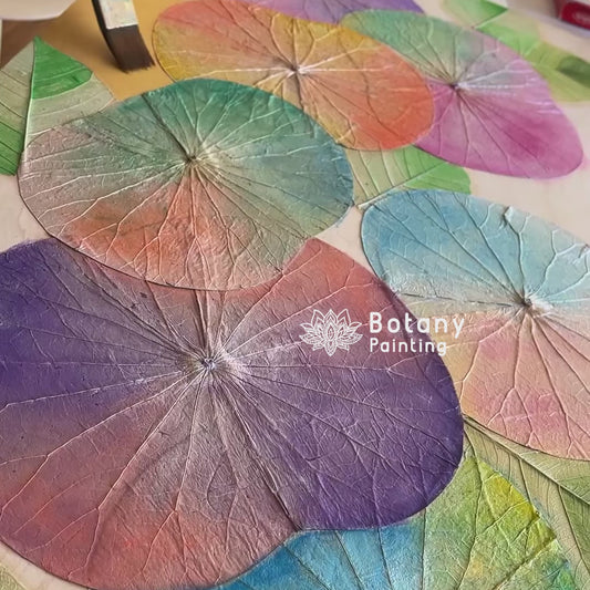 Botany Painting Correspondence Course 