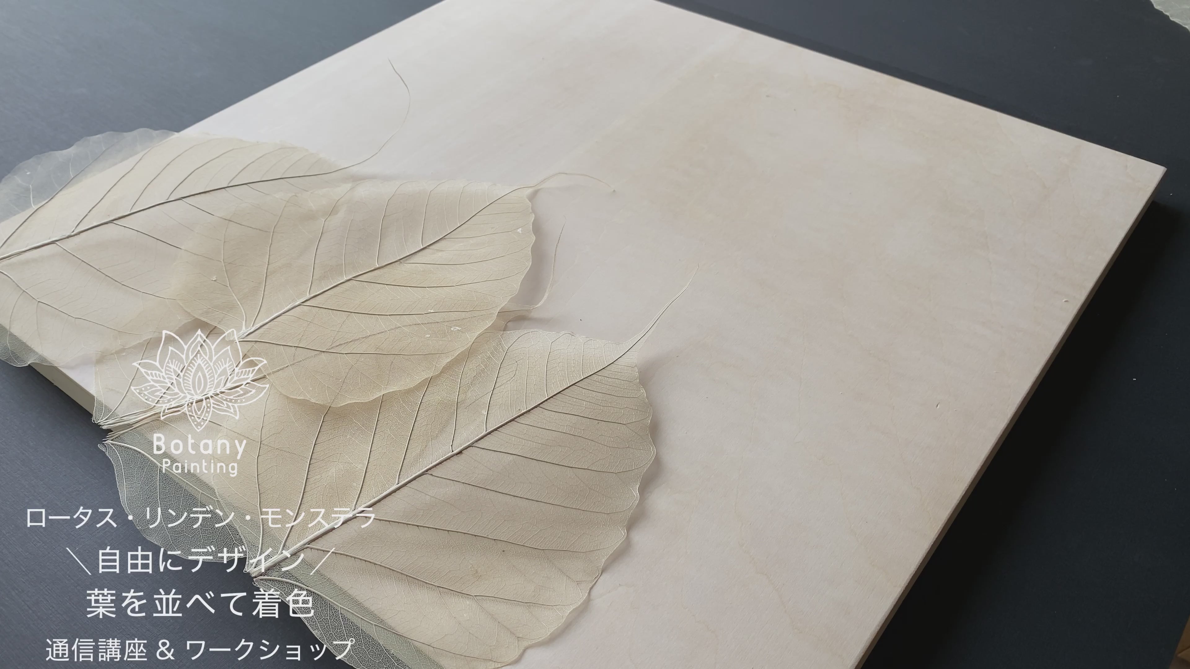 動画を読み込む: 