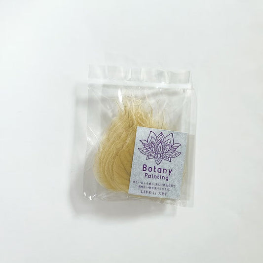 菩提樹(極小) 50枚