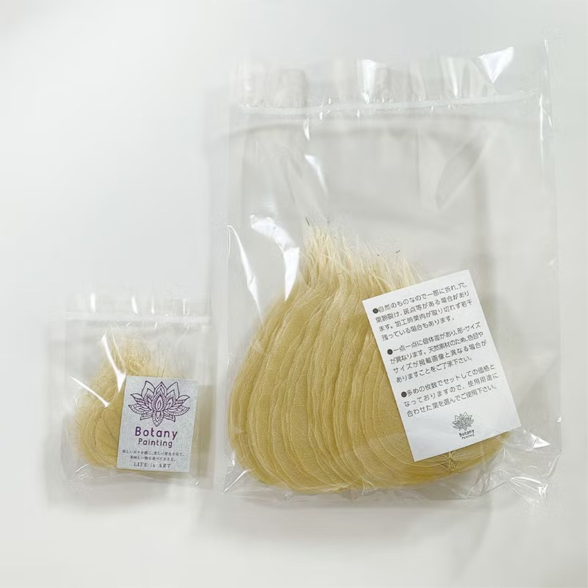 菩提樹(極小) 50枚