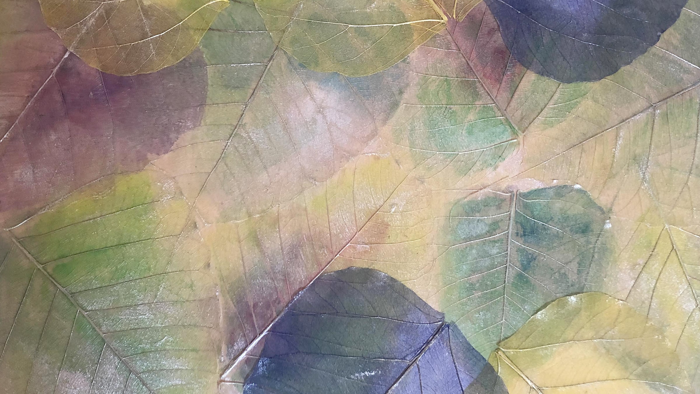 体験キット｜ボタニーペインティング ボタニーペイント 蓮の葉のアート